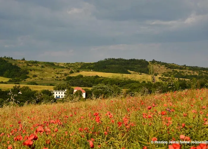Jeleni Farma Jecmeniste